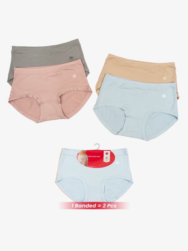 sorex-cd-S1501-allcolour